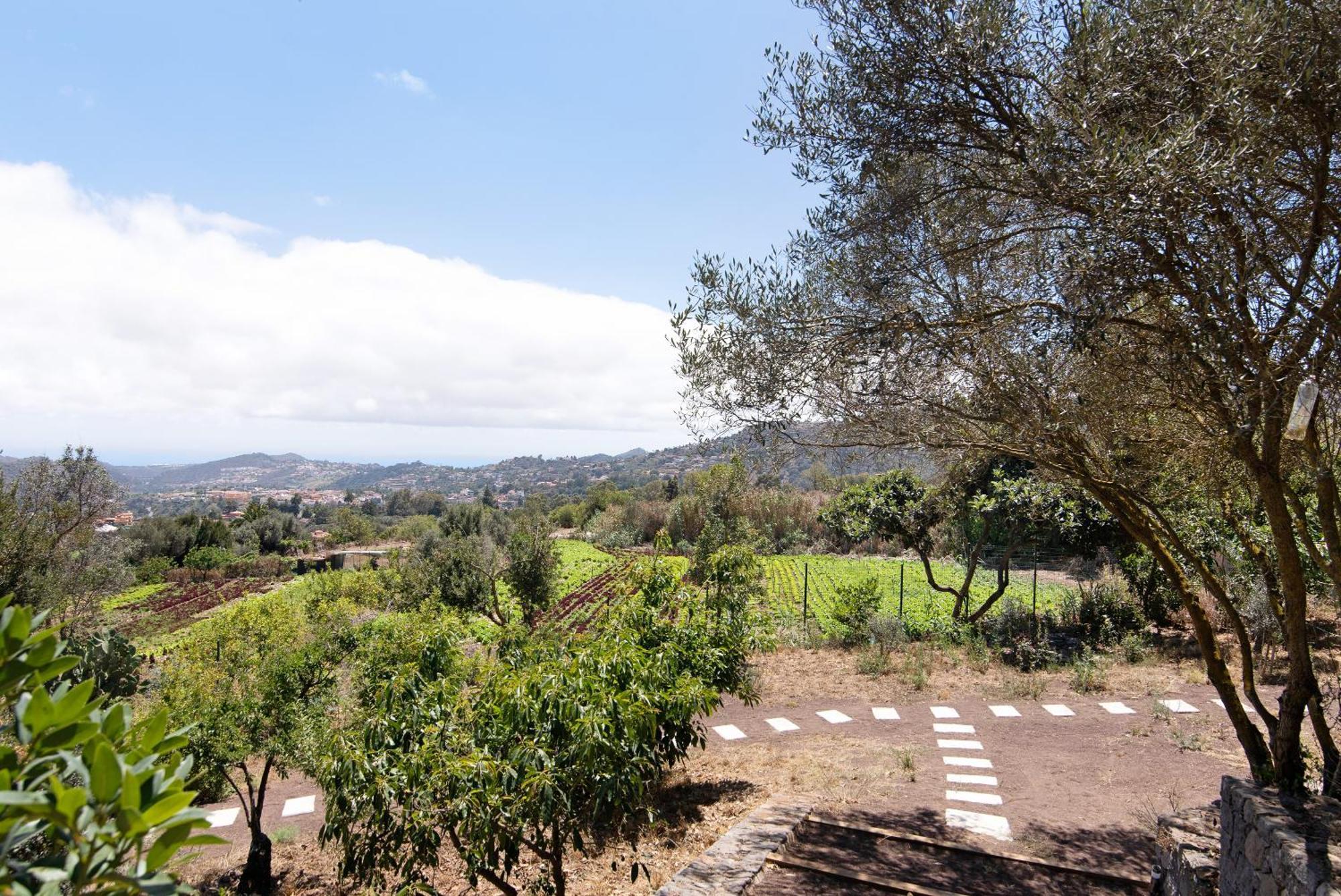 Vila La Casita De La Orilla De Penate Santa Brígida Exteriér fotografie