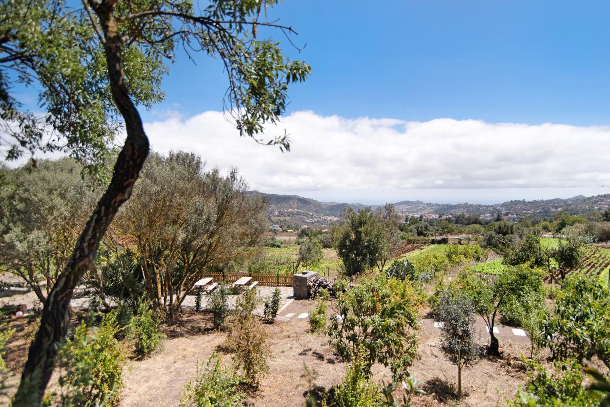 Vila La Casita De La Orilla De Penate Santa Brígida Exteriér fotografie