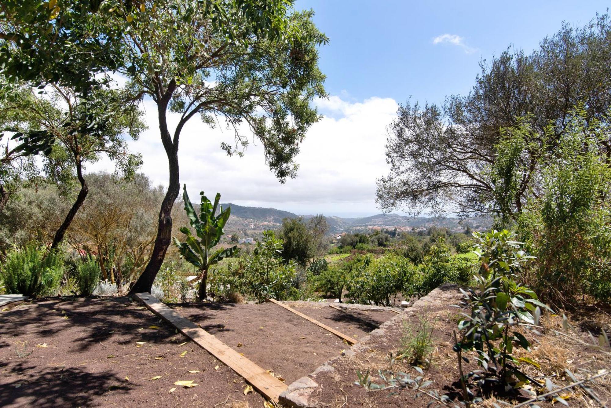Vila La Casita De La Orilla De Penate Santa Brígida Exteriér fotografie